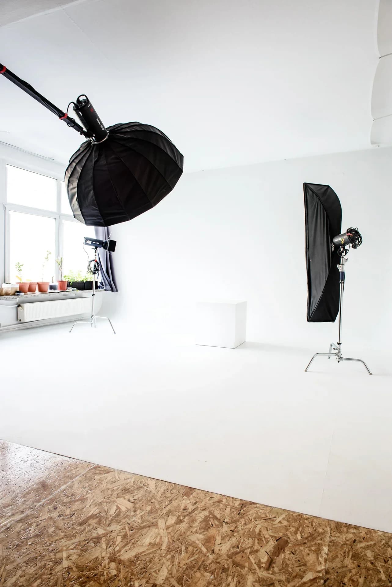 Studio Bitambutam